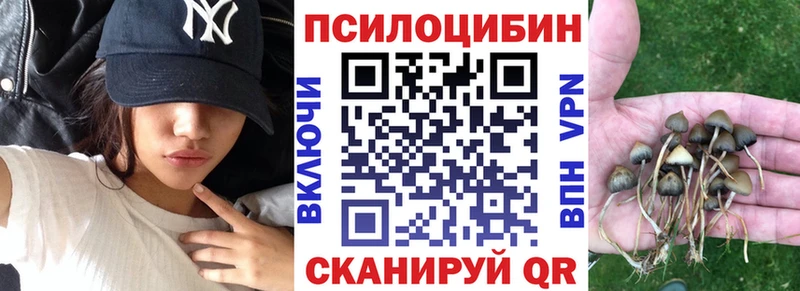 закладка  Кемь  Псилоцибиновые грибы Magic Shrooms 